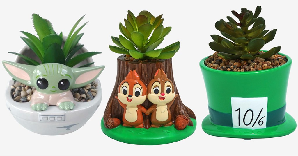 disney succulents star wars, chip & dale and alice in wonderland 