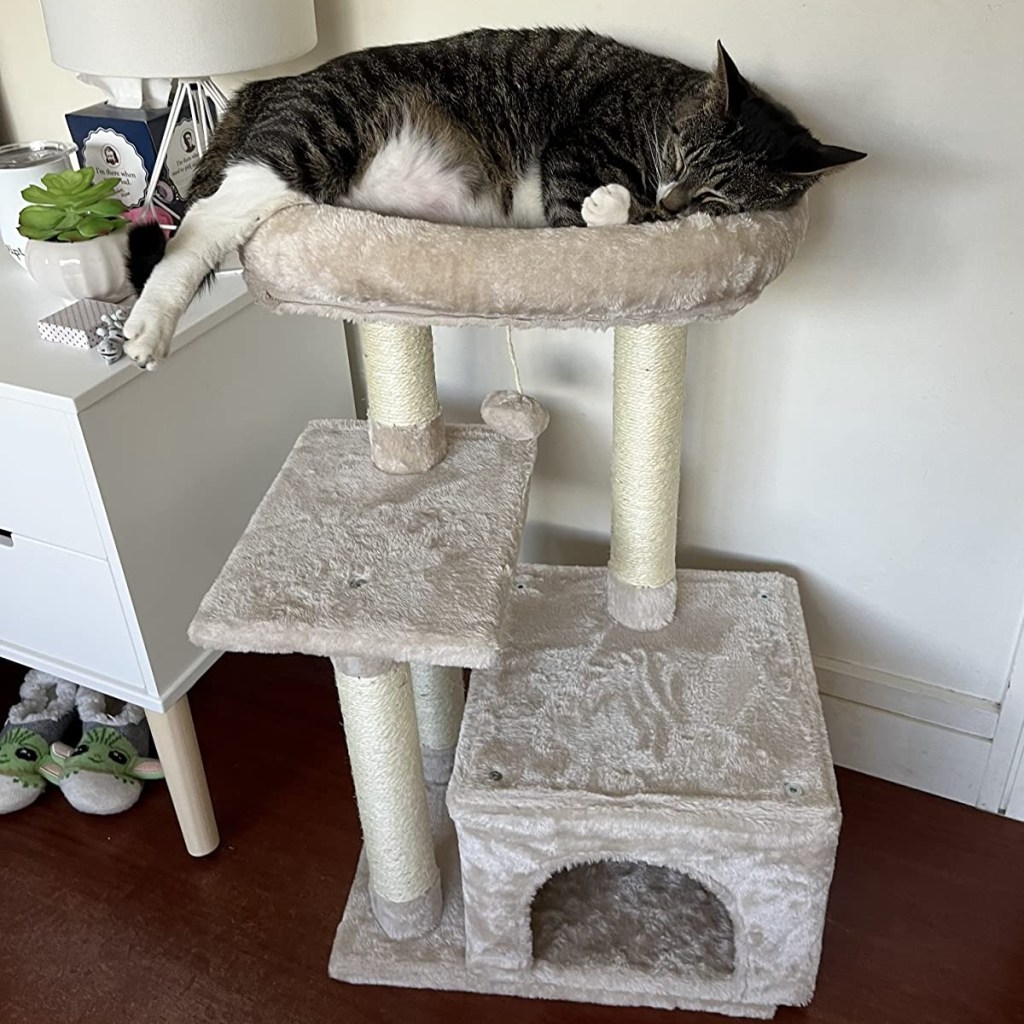 cat napping on top of cat tree