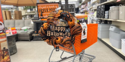 Big Lots Halloween & Fall Decor in Stores Now  | Shop Early for Best Selection