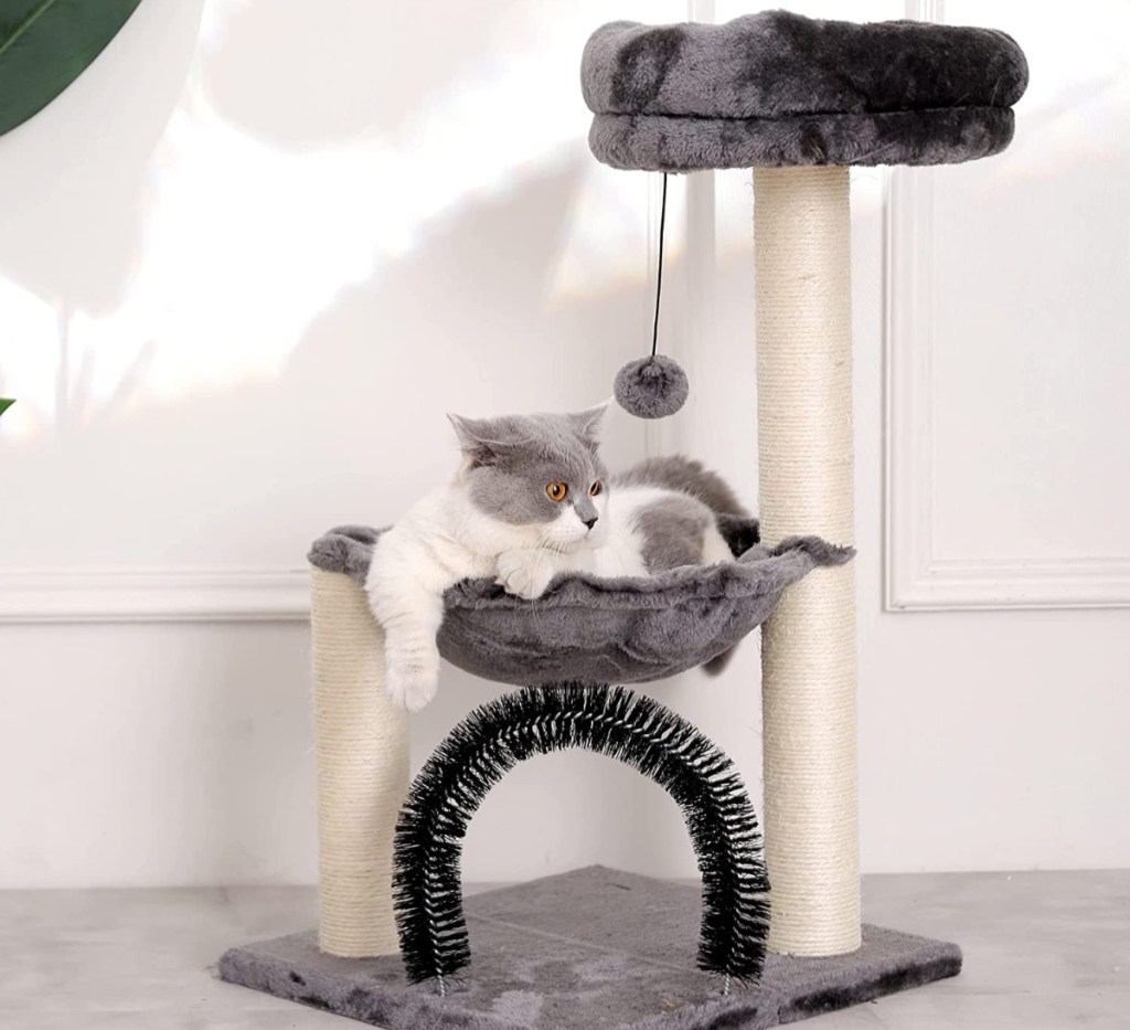 cat in hammock on gray cat tree