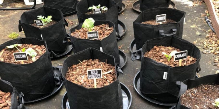 10 Grow Bags Only $14.98 Shipped for Prime Members – Ideal for Patio & Balcony Gardens!