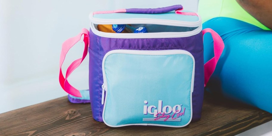 purple, pink, and blue igloo cooler 