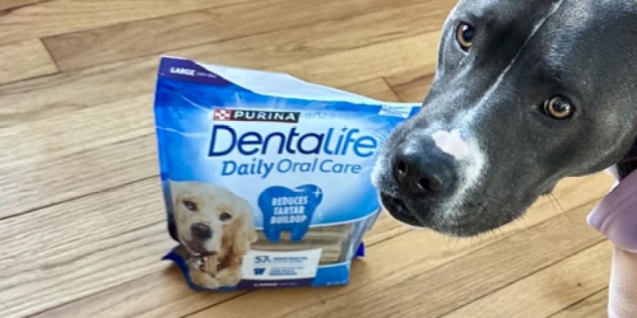 Purina DentaLife Large Dog Chews 18-Count Just $5.59 Shipped on Amazon (Reg. $11)