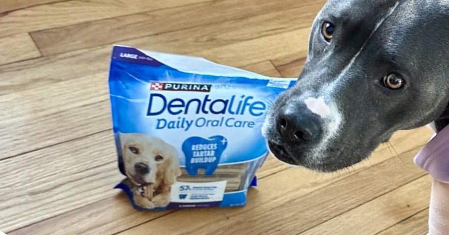 Purina DentaLife Large Dog Chews 18-Count Just $5.59 Shipped on Amazon (Reg. $11)
