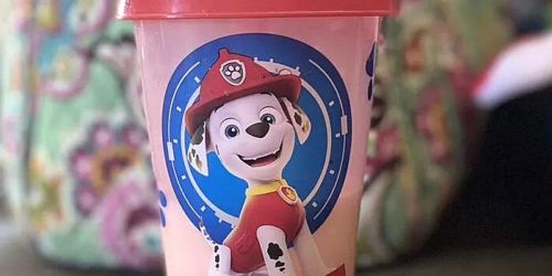 Paw Patrol Zak Tumblers 4-Pack Just $6.99 on Target.com (ONLY $1.74 Each!)