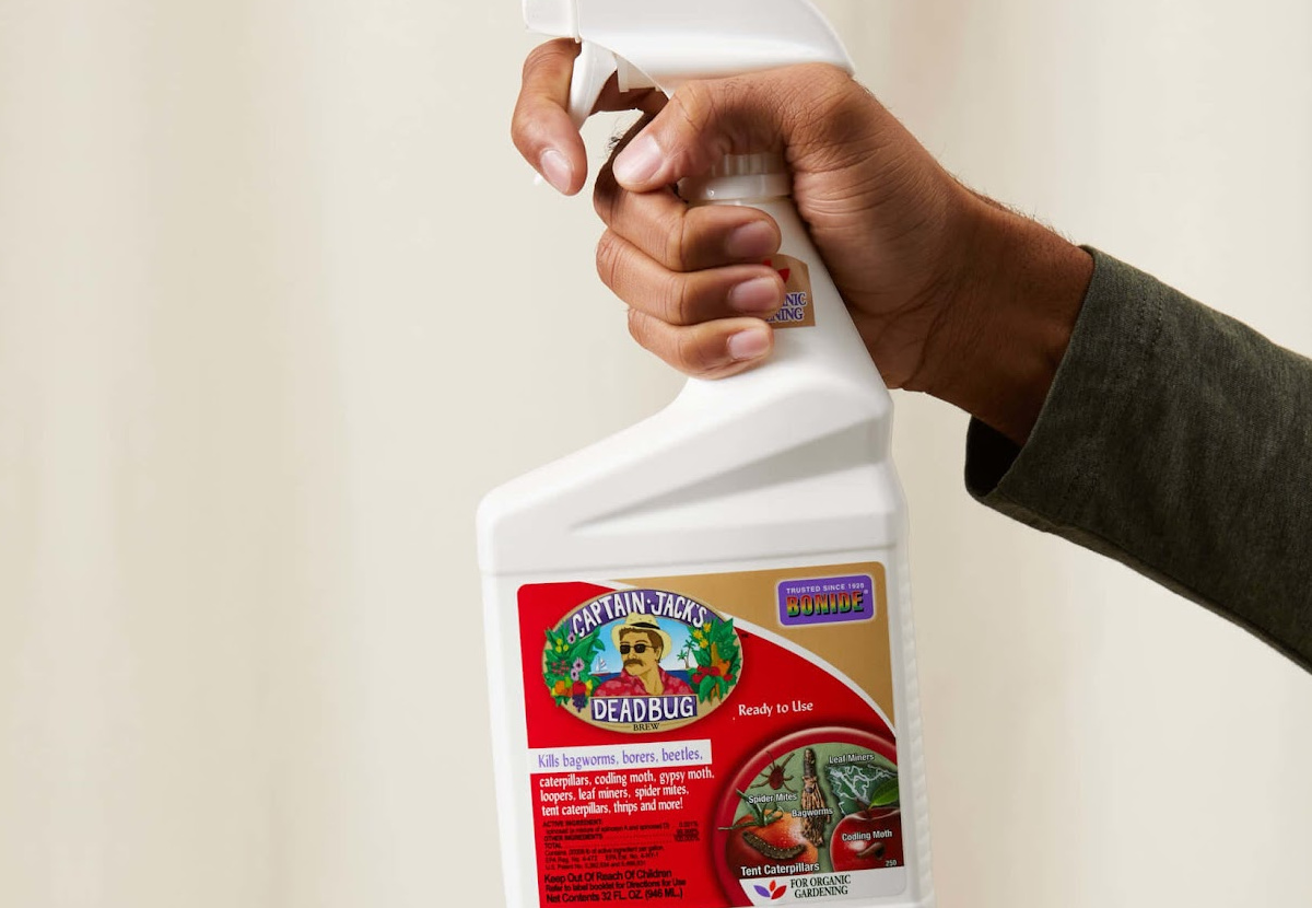 hand holding insecticide bottle