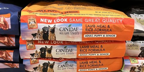Up to 55% Off Canidae Dog Food on Amazon + Free Shipping (Made w/ Real Meat & Wholesome Ingredients!)