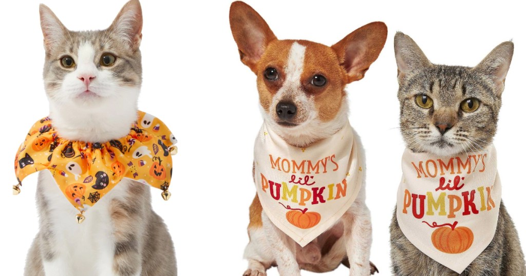 Cat & Dog Costume Collars