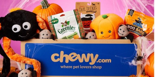 B1G1 50% Off Chewy Halloween Pet Toys & Apparel