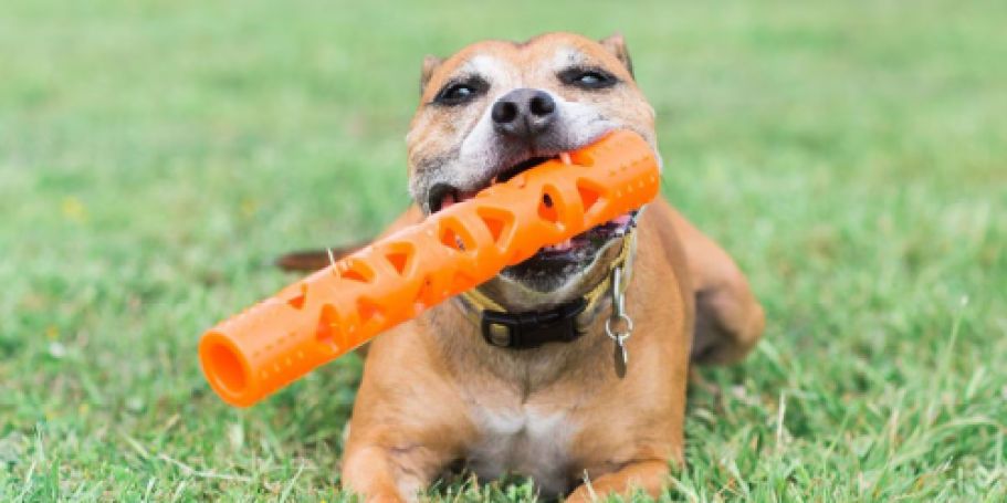 Chuckit Air Fetch Stick Dog Toy Only $4.37 on Amazon (Reg. $15)