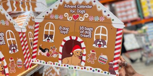 Costco Advent Calendars for Dogs, Friends Fans, & More w/ Prices from $15.99