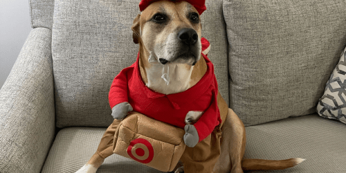 BOGO 50% Off Target Pet Costumes for Halloween (You HAVE to See Our Top Pick!)