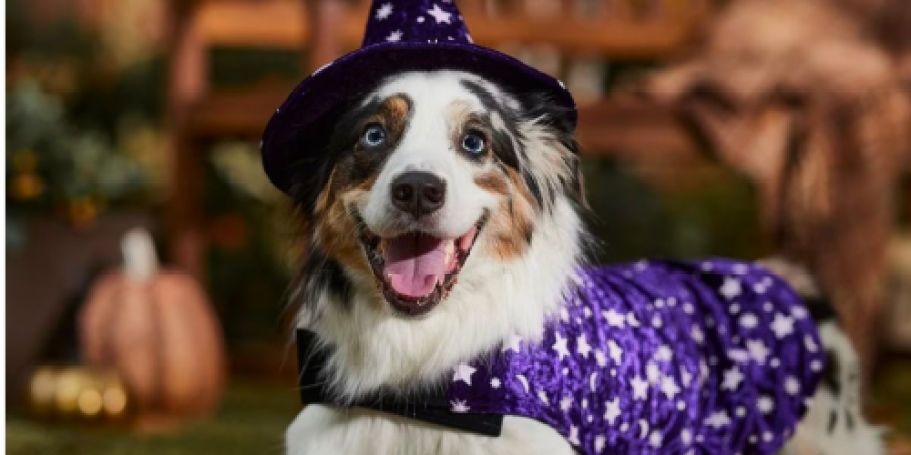PetSmart Halloween Events Start Tomorrow! (Score a FREE Tote Bag & Enter the Costume Contest)