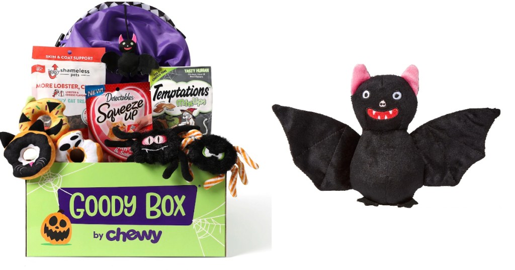 Goody Box and Bat