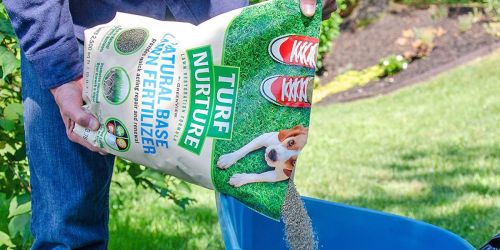 Greenview Natural Base Lawn Fertilizer Only $10.99 Shipped on Amazon (Regularly $23) – Safe for Kids & Pets!