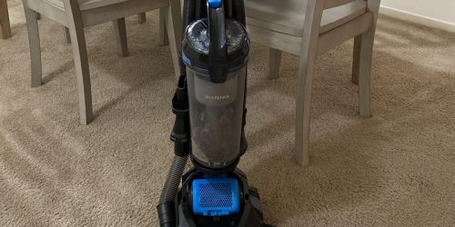 Insignia Bagless Upright Vacuum Only $54.99 Shipped on BestBuy.com (Regularly $120)
