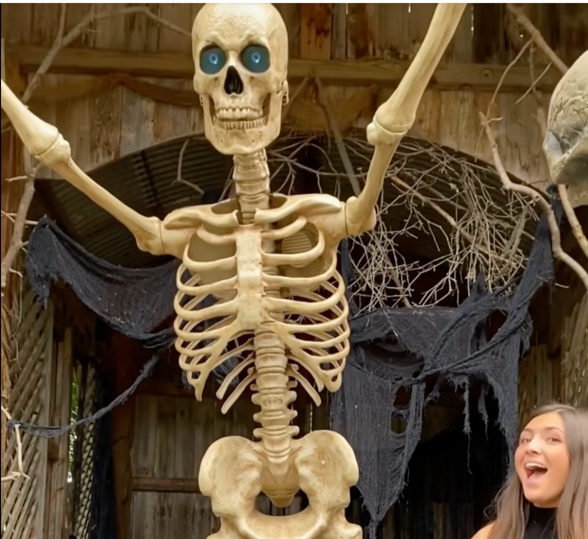 Large 8 foot skeleton