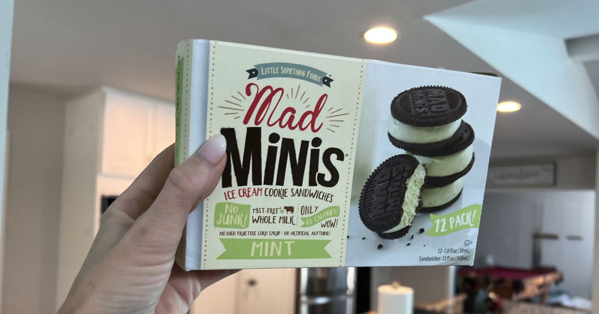 hand holding Mad Minis 12-pack