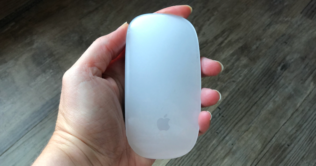 Magic Mouse in Hand