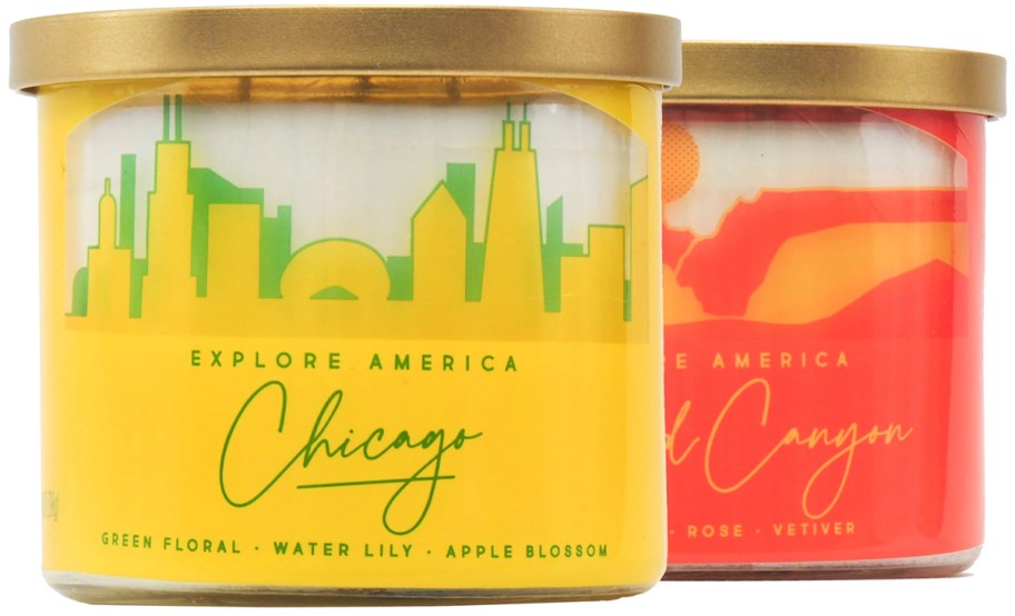 Mainstays Chicago and Grand Canyon 14 Ounce 3 Wick Candles 2 Pack