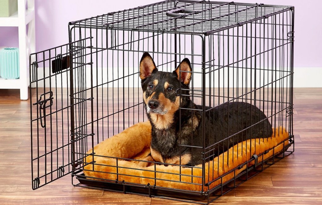 bolster dog bed in cage with dog