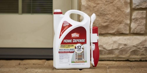 Ortho Home Defense 1-Gallon Insect Killer Only $11.49 Shipped on Amazon (Regularly $18)