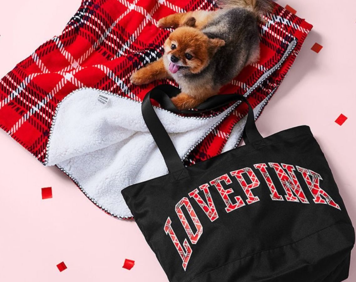 Black Friday prep: FREE tote & mini bag with any $75 purch—starting Thurs  PM! Excl. clearance, By Victoria's Secret