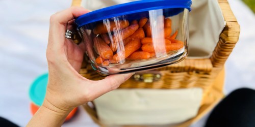 4 Best Food Storage Containers That Our Team Loves, & You Will Too!