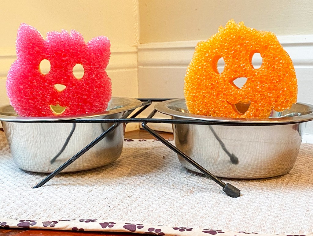 cat and dog shaped sponges in metal pet bowls