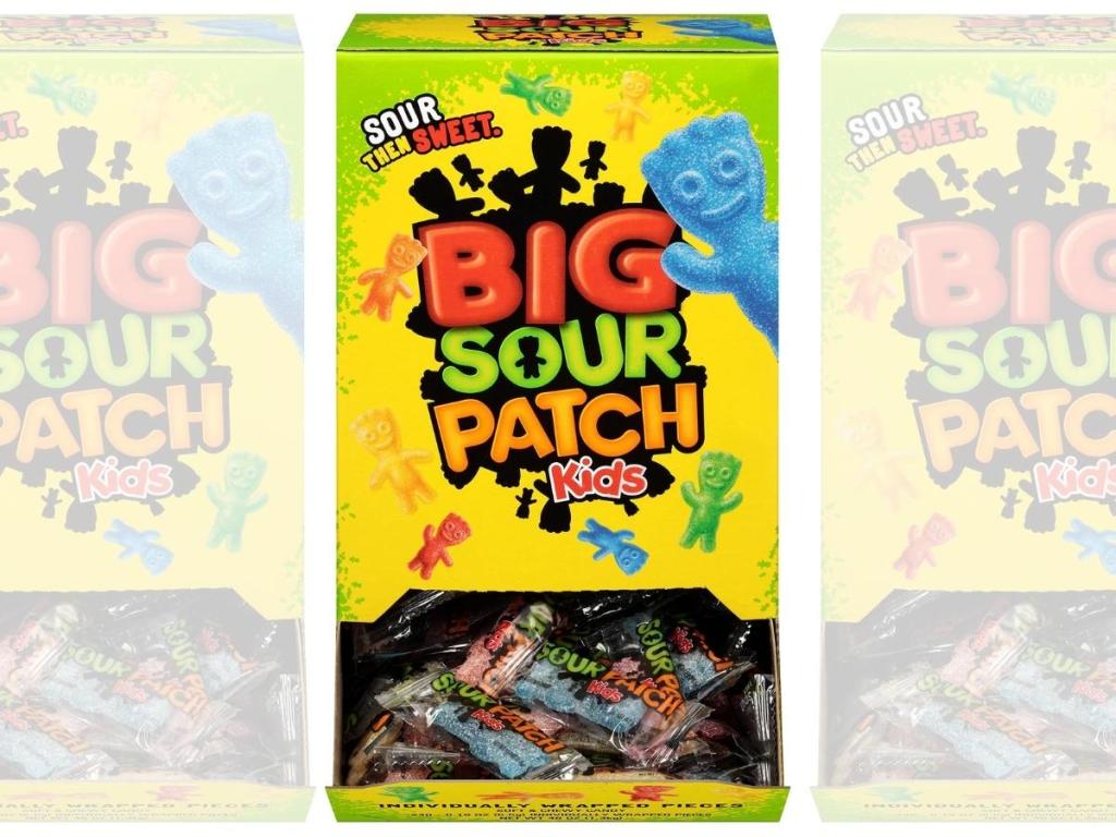 Sour Patch Kids Big Individually Wrapped Soft & Chewy Candy 240-Count