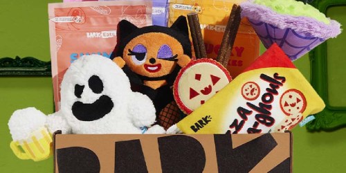 Get DOUBLE The Dog Treats, Toys & Chews in Your First BarkBox (Fun Halloween Theme!)