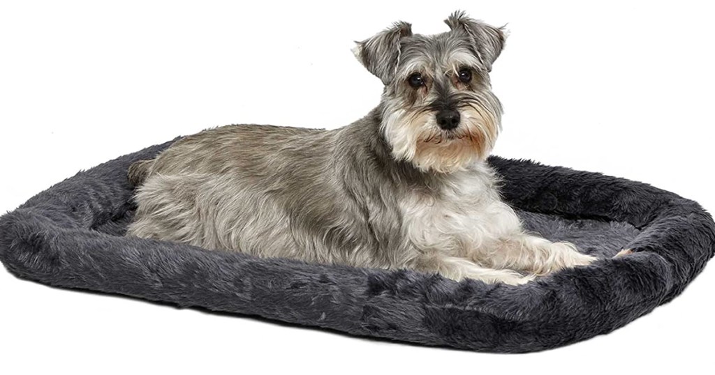 gray dog bed with dog
