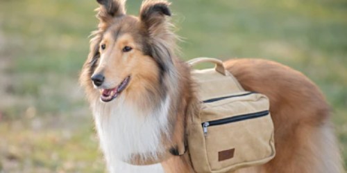 Get a FREE Saddle Bag w/ This Dog Subscription Box!
