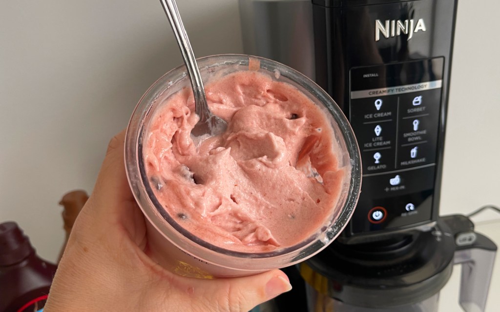 homemade ninja creami ice cream