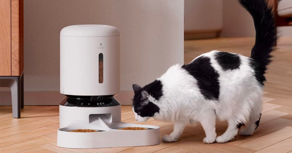 black and white cat eating out of white automatic pet feeder