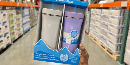 ThermoFlask 32oz Tumbler w/ Straw 2-Pack Only $15 at Costco (Regularly $33)