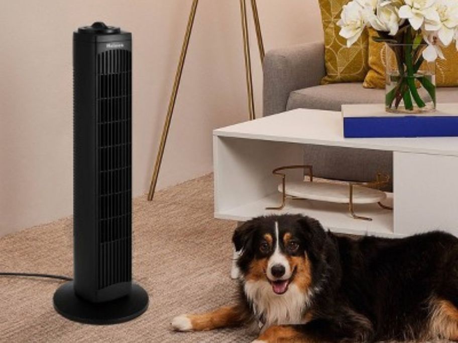 Holmes 29" Oscillating Manual Tower Fan on floor next to dog