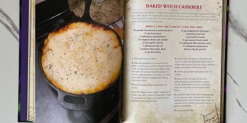 The Unofficial Hocus Pocus Cookbook Only $11 on Target.com (Regularly $20)