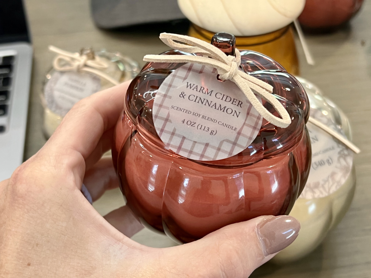 Warm Cider And Cinnamon Wax Melts - Threshold™ : Target