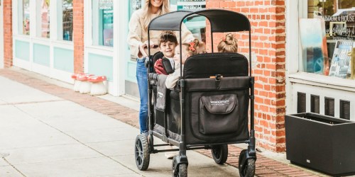 Don’t Want to Spend $900 on a Wonderfold® Wagon?! These Alternatives are Way Less!