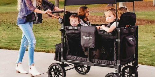 Don’t Want to Spend $900 on a Wonderfold® Wagon?! These Alternatives Start Under $120!