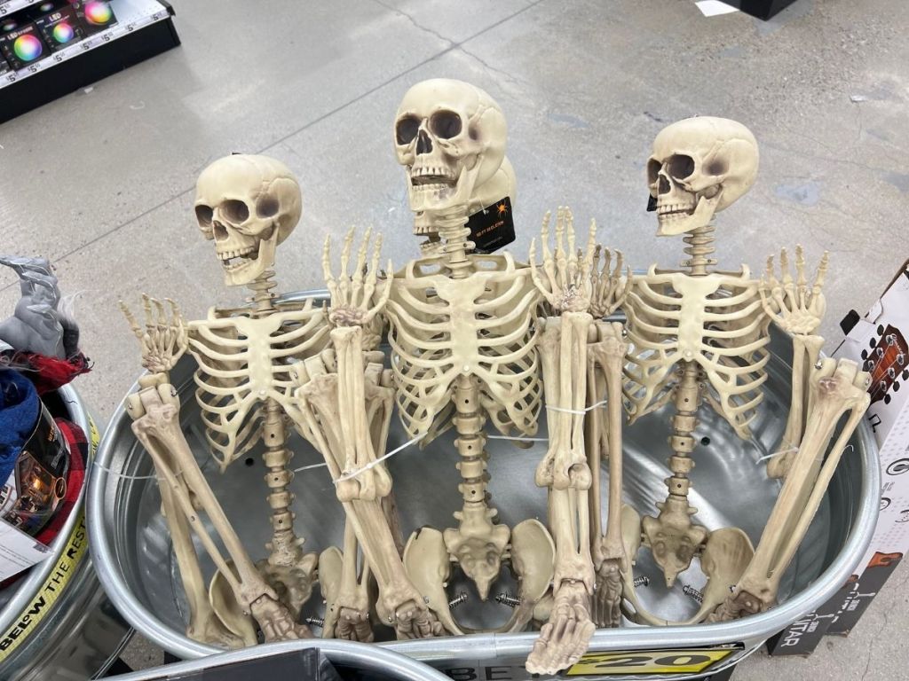 Five Below 6 Foot Plastic Skeletons 