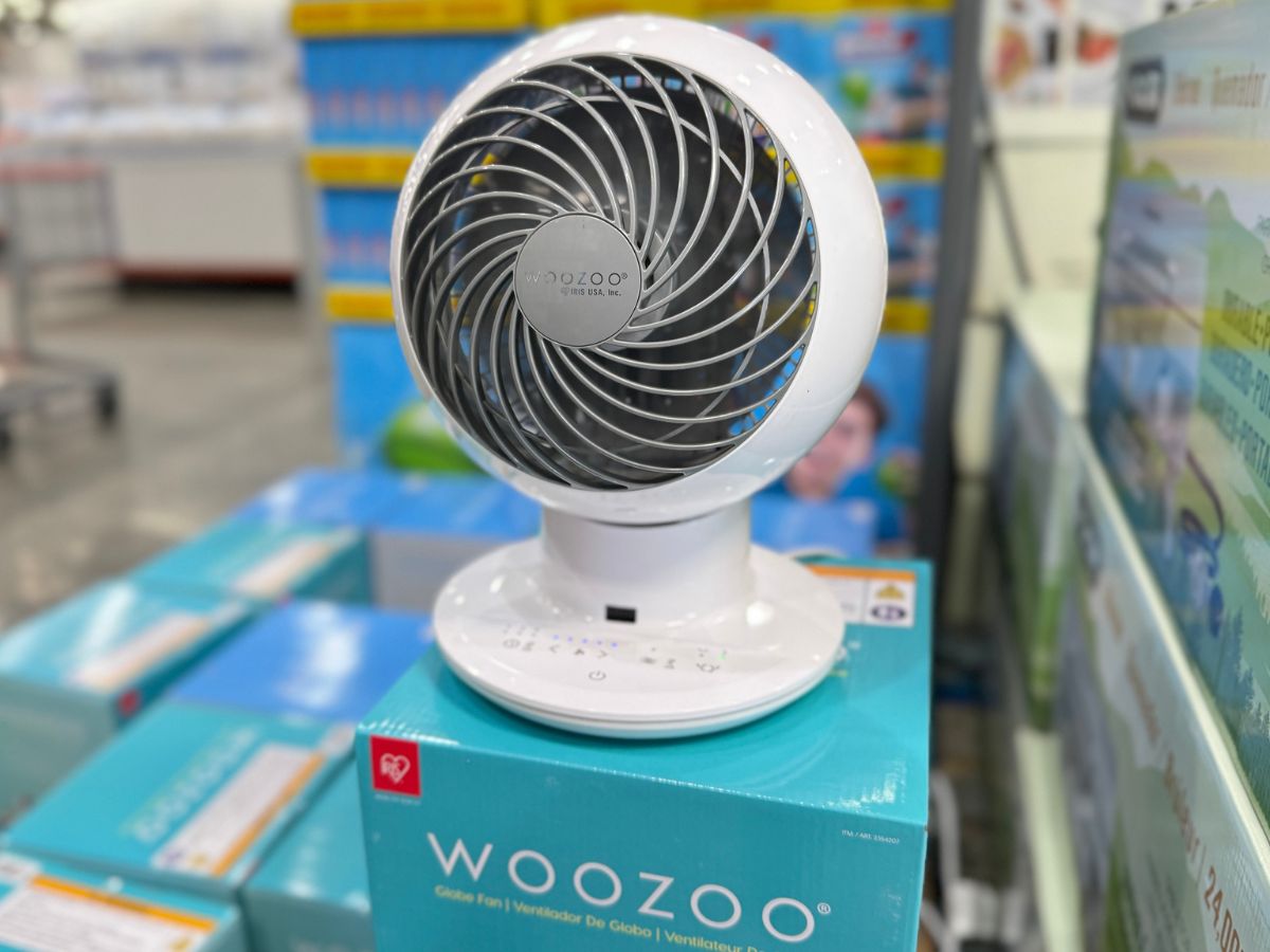 Woozoo Oscillating Fan With Remote Control Just $27.99 at Costco (Reg. $38)