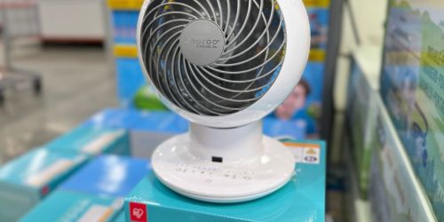 Woozoo Oscillating Fan With Remote Control Just $27.99 at Costco (Reg. $38)