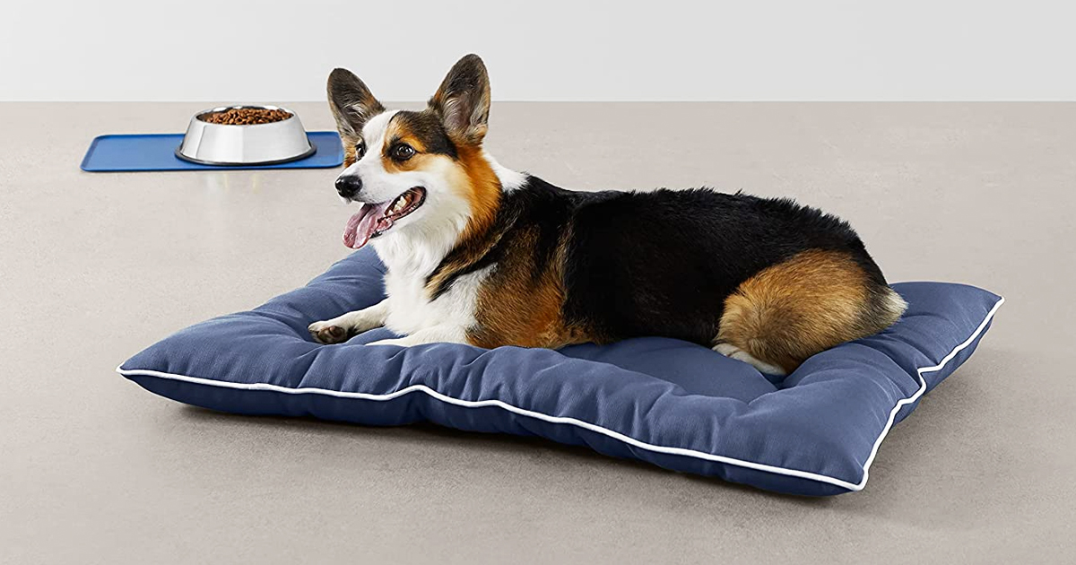 Amazon Basics Pet Pillow Bed from 7.67 (Regularly 33) Hip2Save
