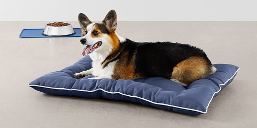 Amazon Basics Pet Pillow Bed from $7.67 (Regularly $33)