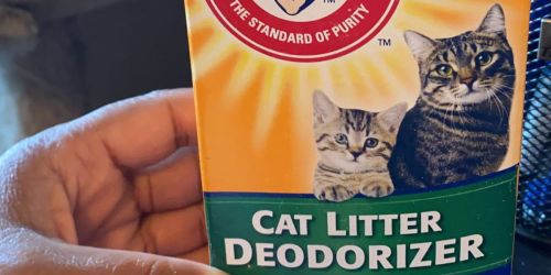 Arm & Hammer Cat Litter Deodorizer Only $1.59 Shipped on Amazon (Awesome Reviews)