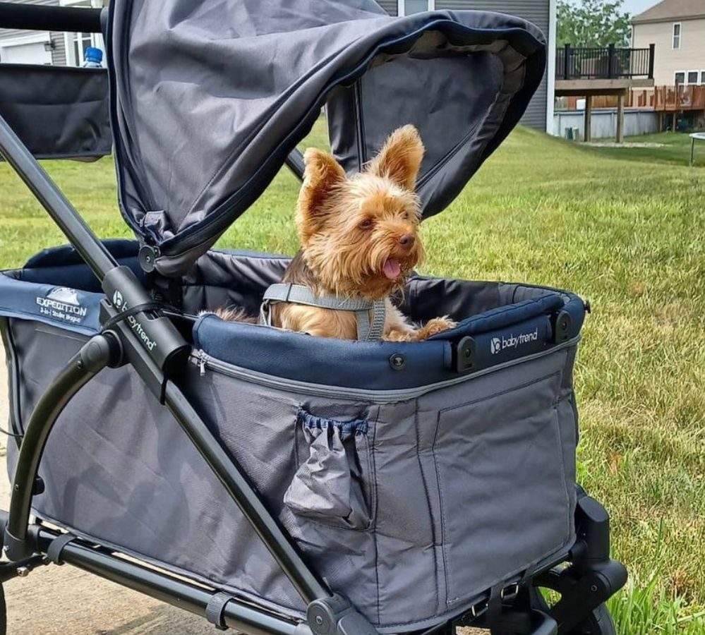 Target clearance wagon stroller