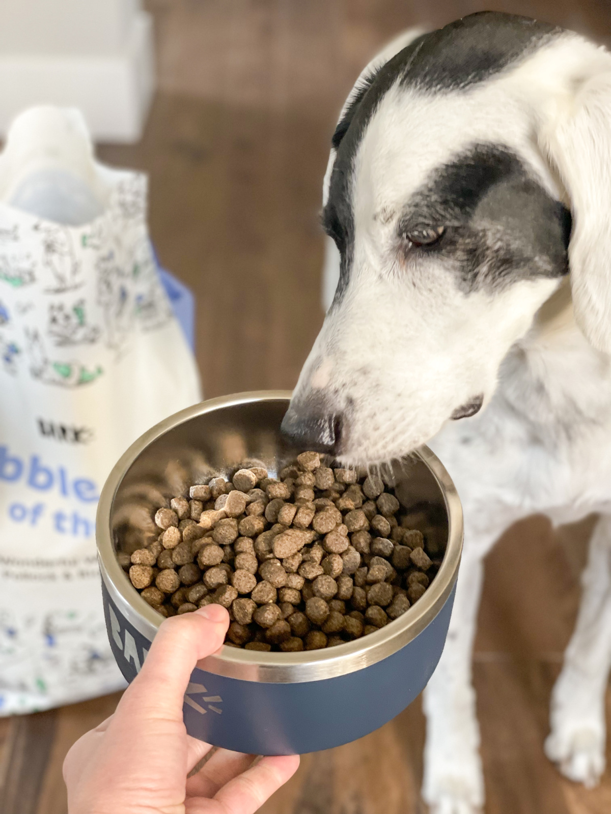 BARK Dog Food Starting at Just 27.93 for a 15 lb Bag