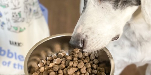 Get 30% Off BARK Breed-Specific Dog Food w/ Exclusive Promo Code + Free Shipping